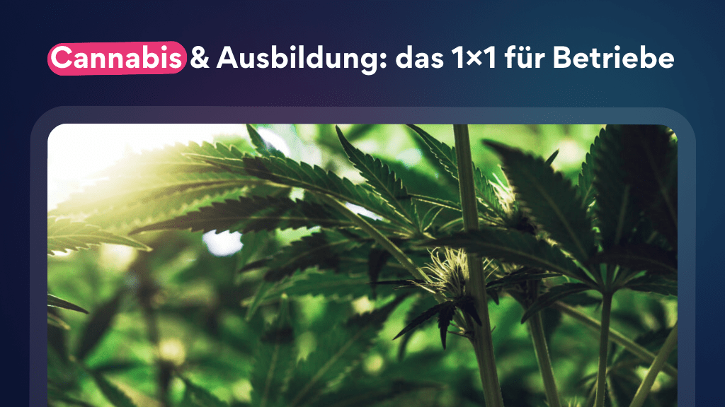Cannabis und Ausbildung - das 1x1 für Betriebe